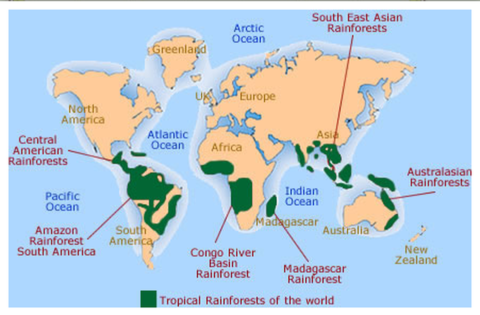 Map Showing Location Of Tropical Rainforests What Are Tropical